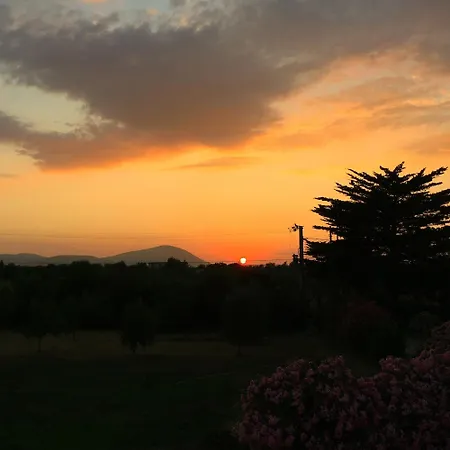 Apartmán L'oleandro Alghero