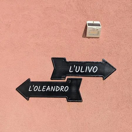 L'oleandro