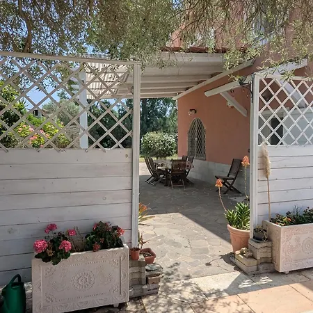 L'oleandro 알게로