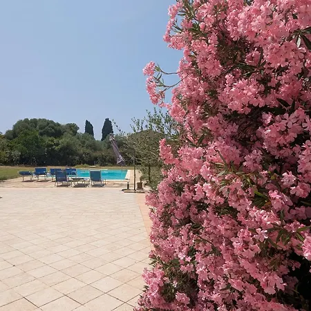 L'oleandro Alghero